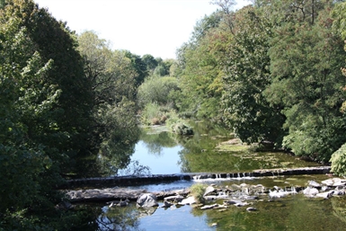 Image category