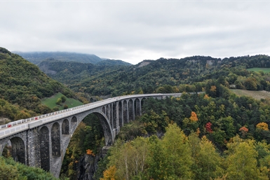 Image category
