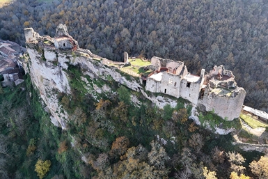 Image category