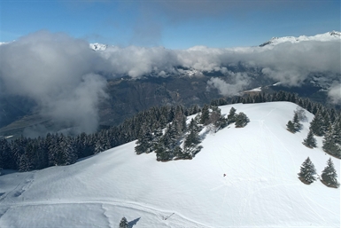 Image category