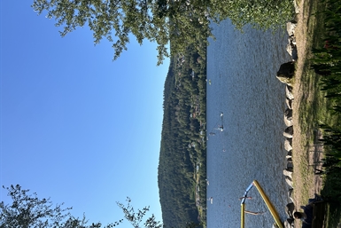 Image category