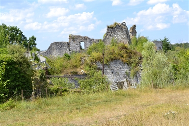 Image category