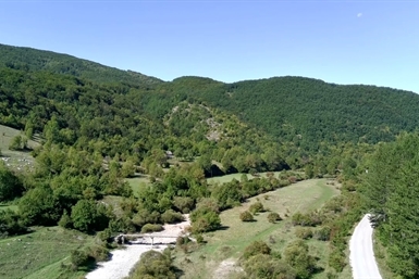 Image category