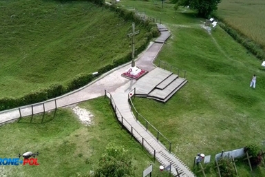 Image category