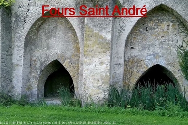 Image category