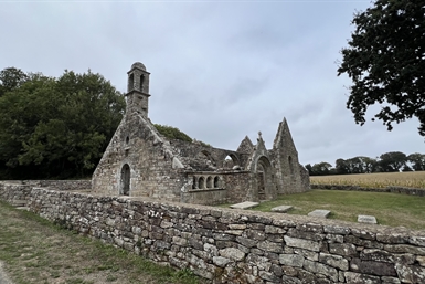 Image category