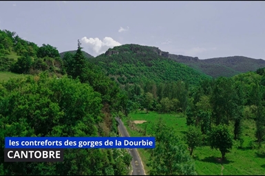 Image category