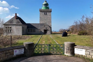 Image category