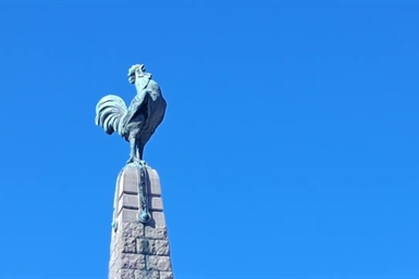 Image category