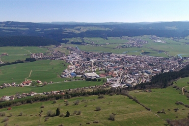 Image category