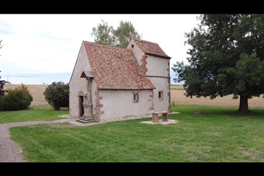 Image category