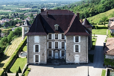 Image category