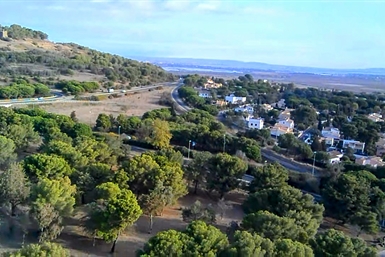 Image category