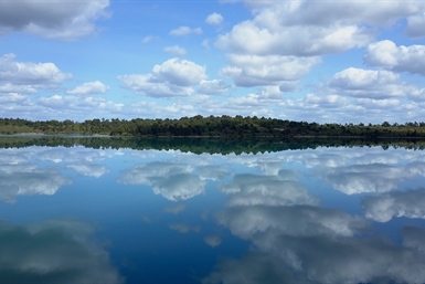 Image category