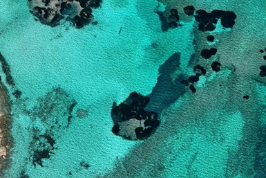 Image category