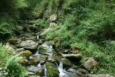 Image category