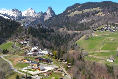 Image category
