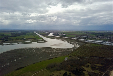 Image category