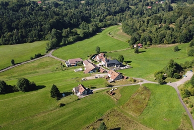 Image category