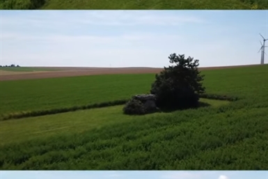 Image category