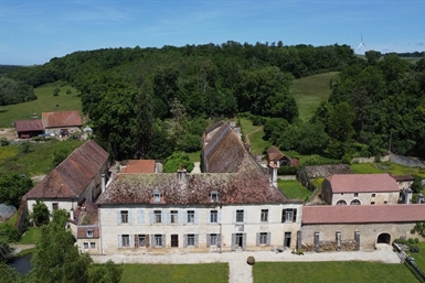 Image category