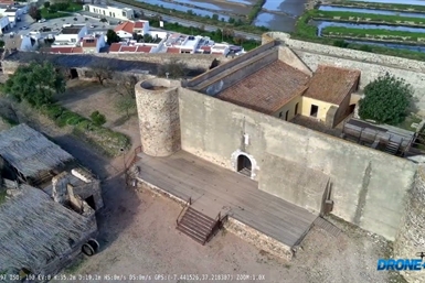 Image category