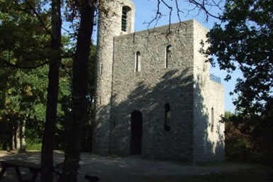 Image category