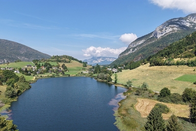 Image category