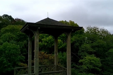 Image category
