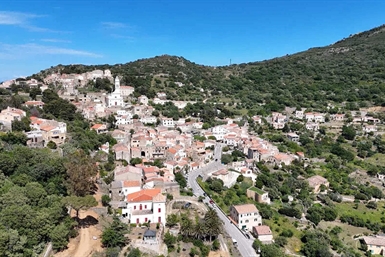Image category
