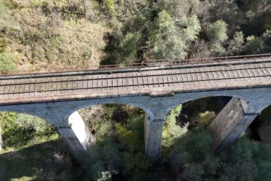 Image category