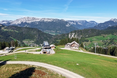 Image category