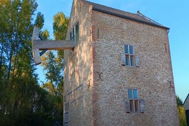 Image category