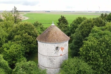 Image category