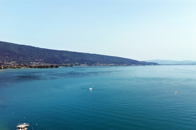 Image category