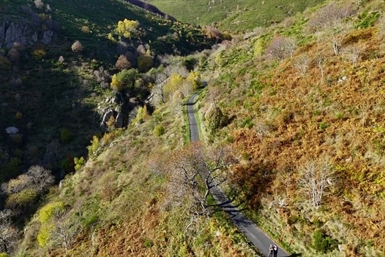 Image category