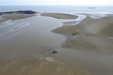 Image category