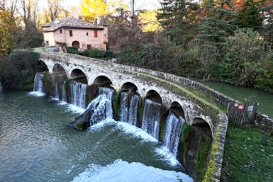 Image category