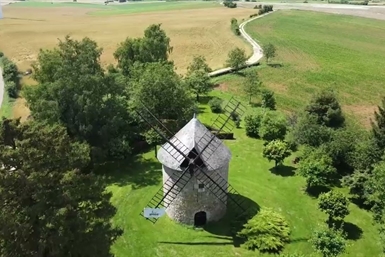 Image category