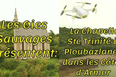 Image category