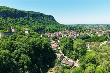 Image category