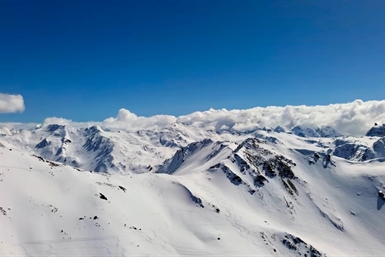 Image category