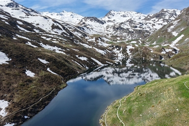Image category
