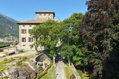 Image category