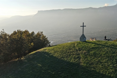 Image category