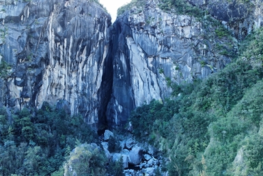 Image category