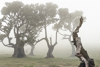 Spot où faire voler son droneSpot pour faire voler son drone