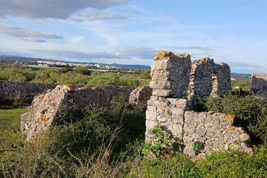 Image category