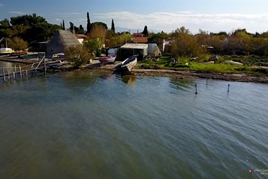 Image category