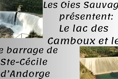Image category